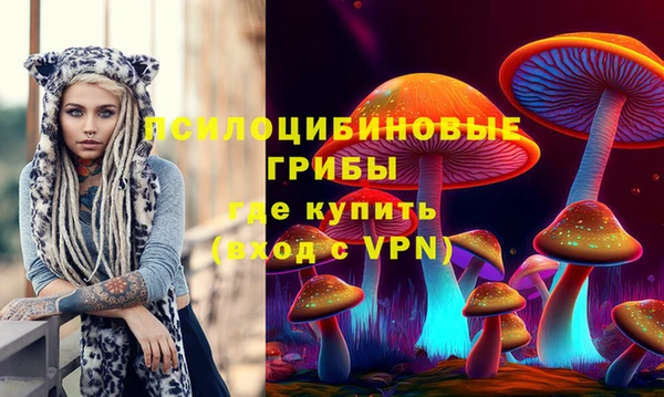 дживик Белоозёрский