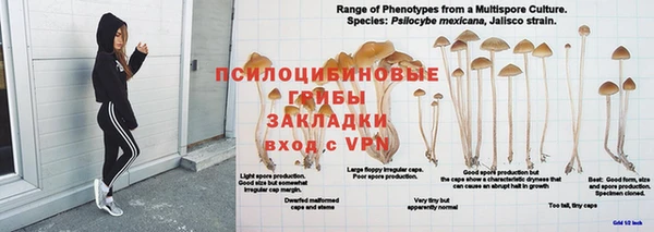 дживик Белоозёрский