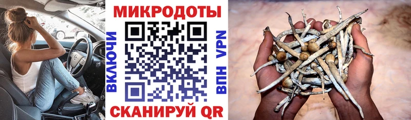 Галлюциногенные грибы MAGIC MUSHROOMS Гремячинск